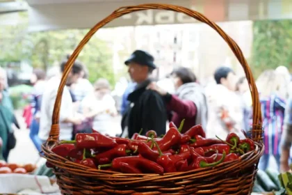 La campaña hortofrutícola de Almería llegará a 3.716 millones en exportaciones, un 14% más La campaña hortofrutícola de Almería llegará a 3.716 millones en exportaciones, un 14% más