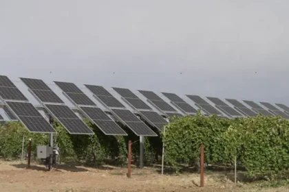 Iberdrola desarrollará en Álava un proyecto agrovoltaico para impulsar el cultivo de manzanas en
